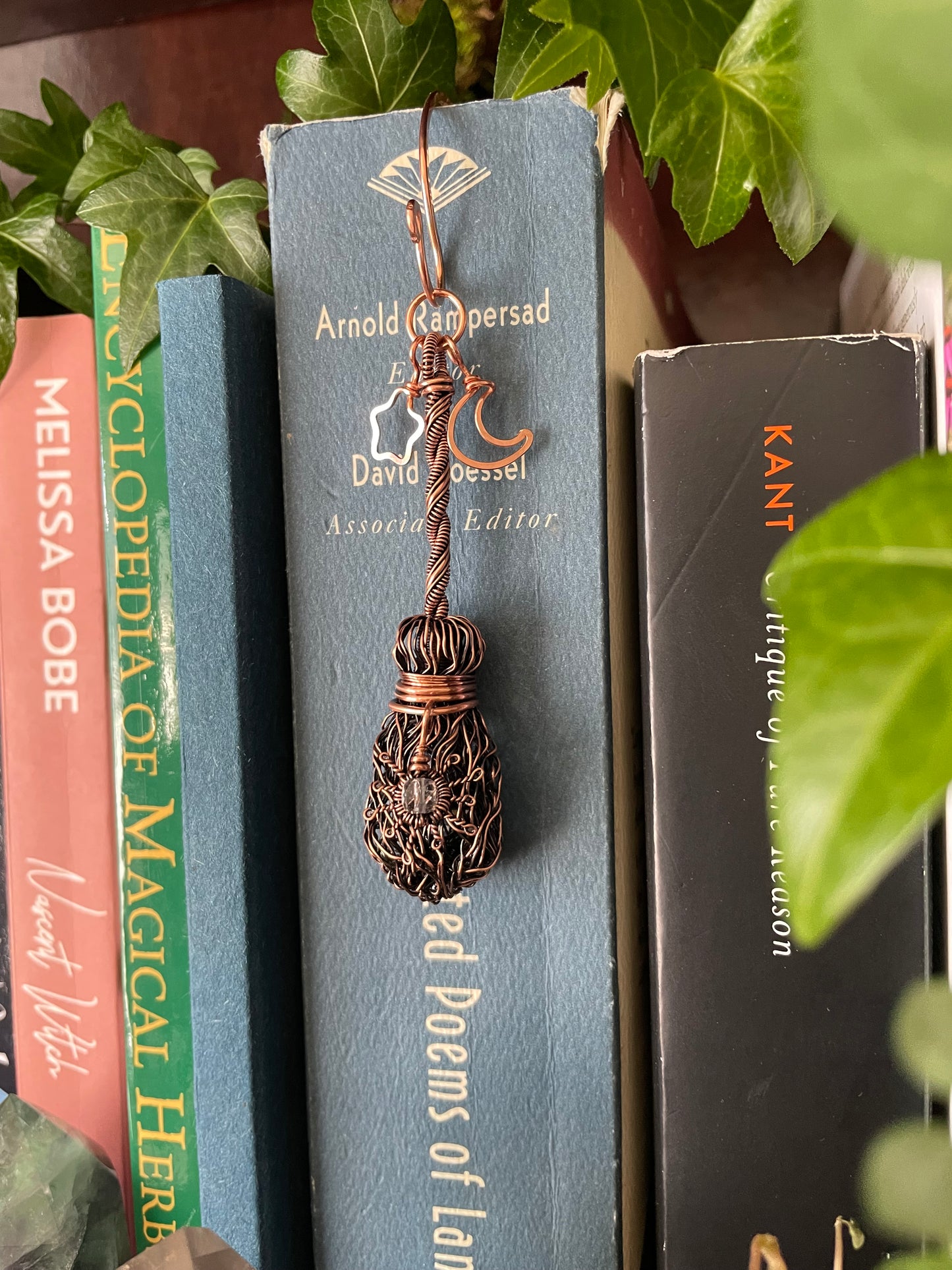 Books on a shelf with a decorative bookmark on top, surrounded by green leaves.