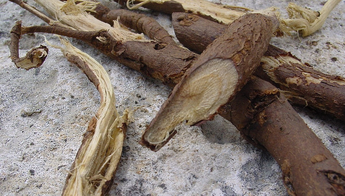 Brown liquorice root sticks