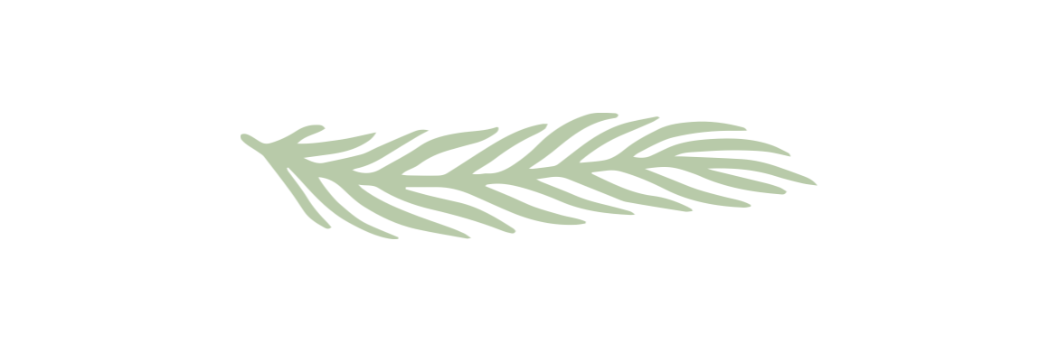 Image of a simple green leaf outline 