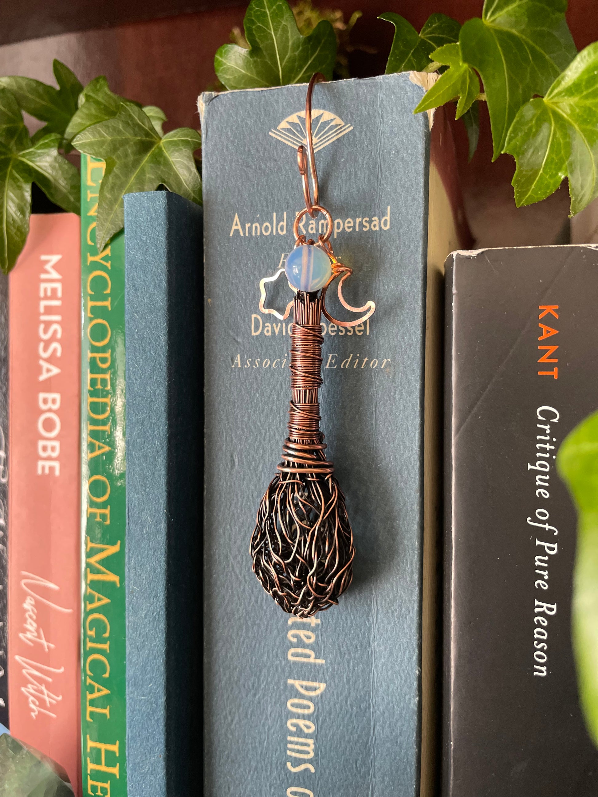 Books on a shelf with a decorative broom on top, surrounded by green leaves.