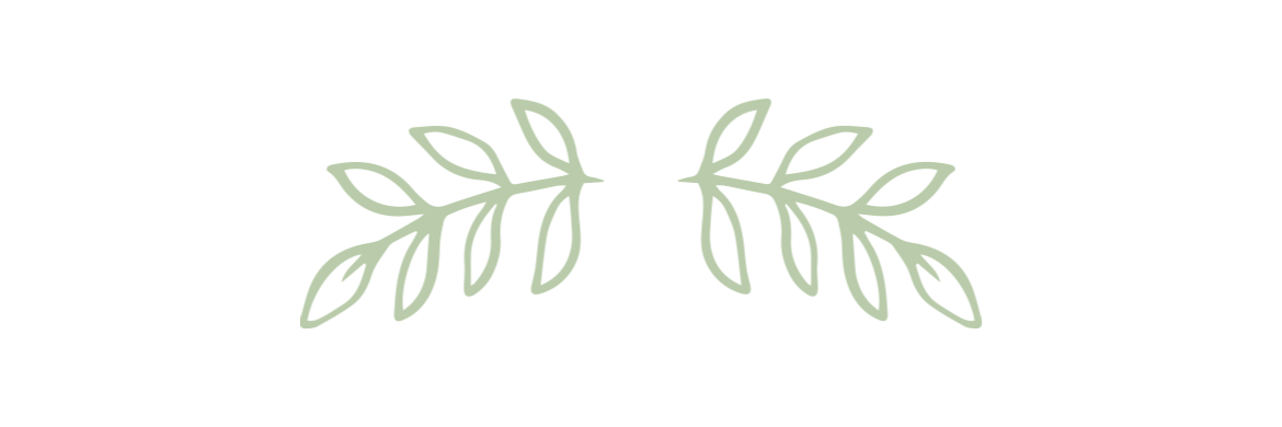 Green leaves on a white background