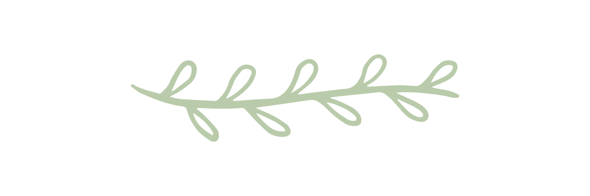Green leaves on a white background