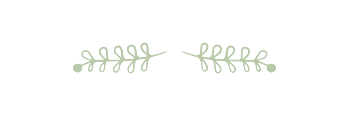 Green leaves on branches