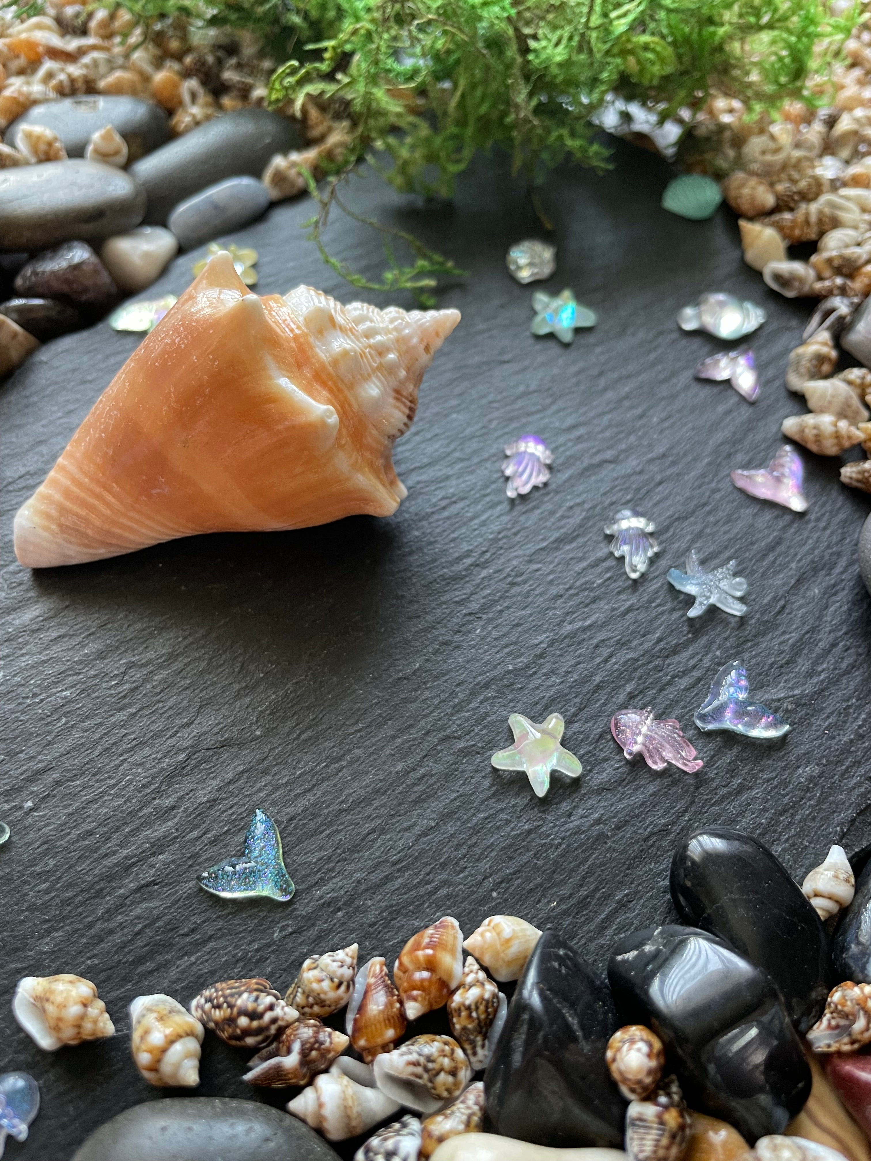 Shell and decorative stones on a dark surface with small colorful butterflies.